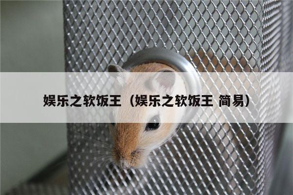 娱乐之软饭王（娱乐之软饭王 简易）