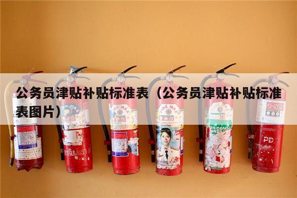 公务员津贴补贴标准表（公务员津贴补贴标准表图片）