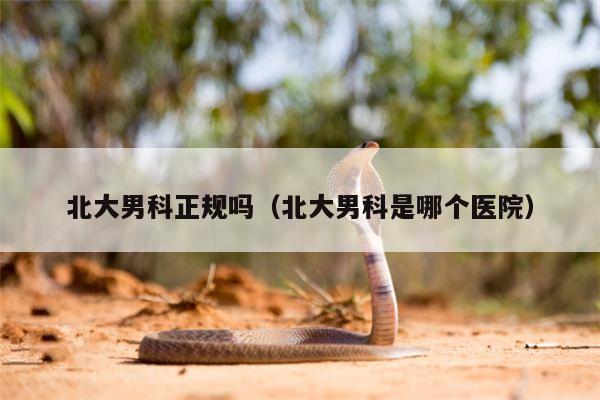 北大男科正规吗（北大男科是哪个医院）