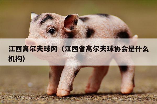 江西高尔夫球网（江西省高尔夫球协会是什么机构）