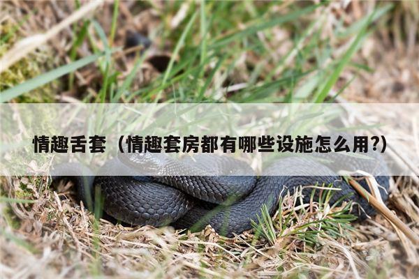 情趣舌套（情趣套房都有哪些设施怎么用?）