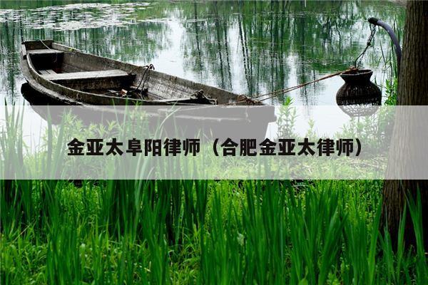金亚太阜阳律师（合肥金亚太律师）