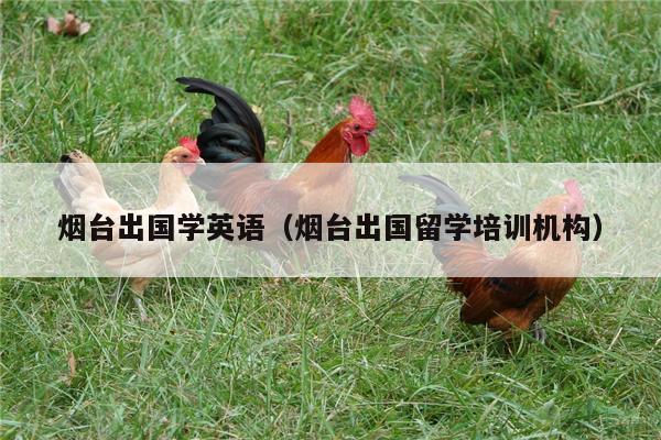 烟台出国学英语（烟台出国留学培训机构）