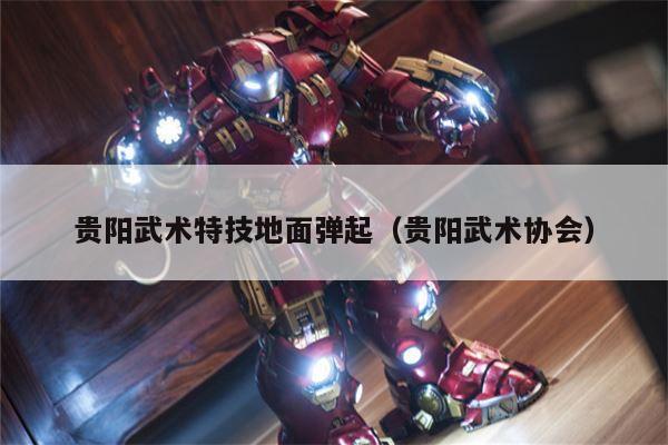贵阳武术特技地面弹起（贵阳武术协会）