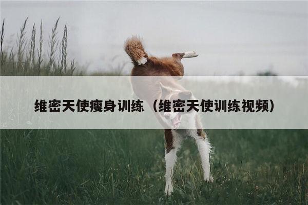 维密天使瘦身训练（维密天使训练视频）