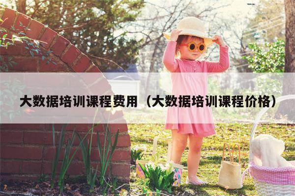 大数据培训课程费用（大数据培训课程价格）