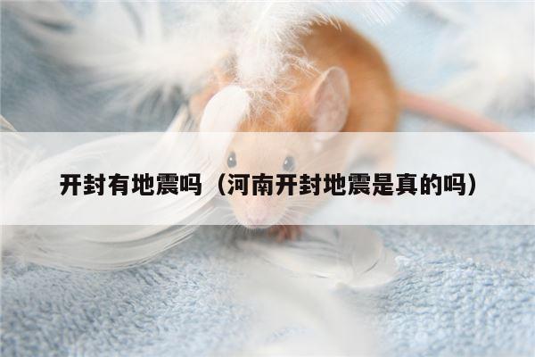 开封有地震吗（河南开封地震是真的吗）