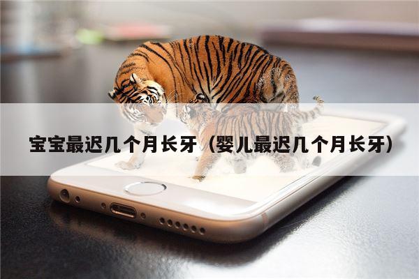 宝宝最迟几个月长牙（婴儿最迟几个月长牙）