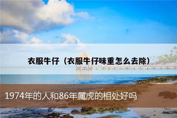 衣服牛仔（衣服牛仔味重怎么去除）