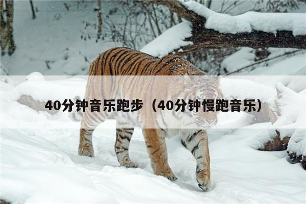 40分钟音乐跑步（40分钟慢跑音乐）