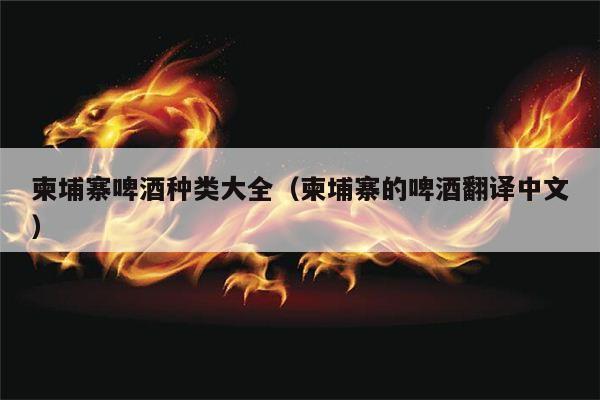 柬埔寨啤酒种类大全（柬埔寨的啤酒翻译中文）