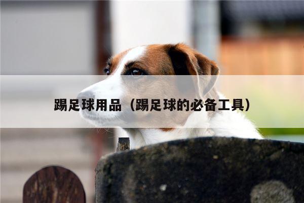 踢足球用品（踢足球的必备工具）
