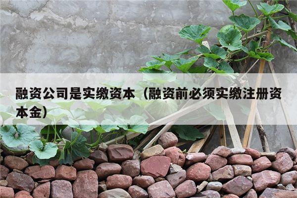 融资公司是实缴资本（融资前必须实缴注册资本金）