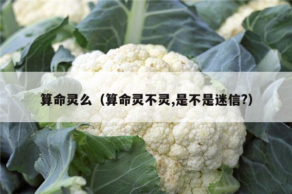 算命灵么（算命灵不灵,是不是迷信?）