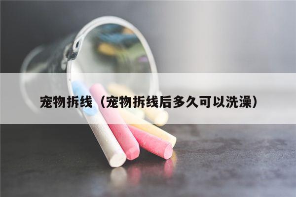 宠物拆线（宠物拆线后多久可以洗澡）