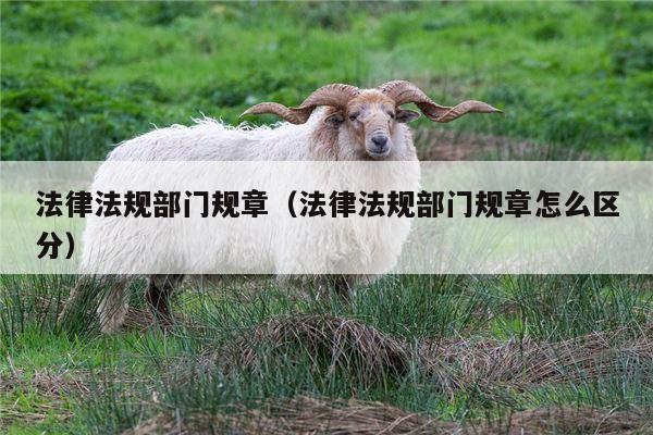 法律法规部门规章（法律法规部门规章怎么区分）