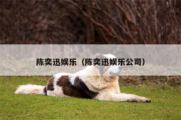 陈奕迅娱乐（陈奕迅娱乐公司）