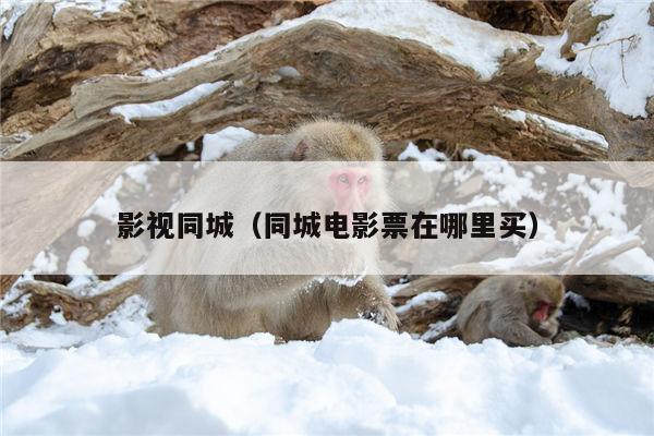 影视同城（同城电影票在哪里买）