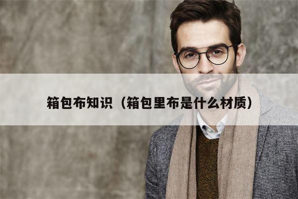 箱包布知识（箱包里布是什么材质）