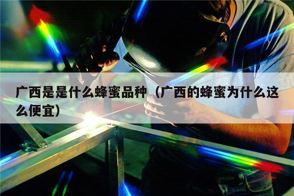 广西是是什么蜂蜜品种（广西的蜂蜜为什么这么便宜）