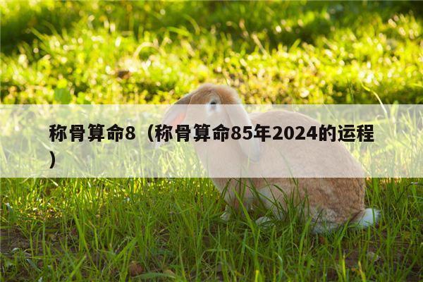 称骨算命8（称骨算命85年2024的运程）
