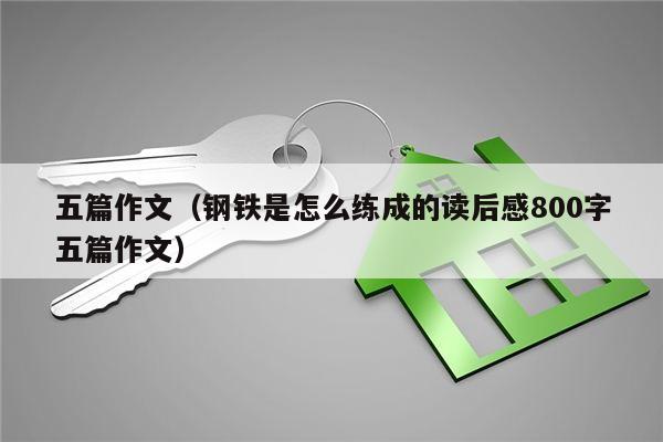 五篇作文（钢铁是怎么练成的读后感800字五篇作文）