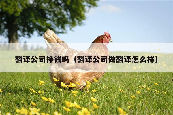 翻译公司挣钱吗（翻译公司做翻译怎么样）