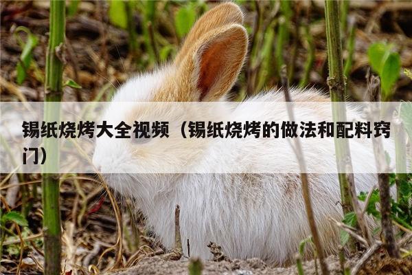 锡纸烧烤大全视频（锡纸烧烤的做法和配料窍门）