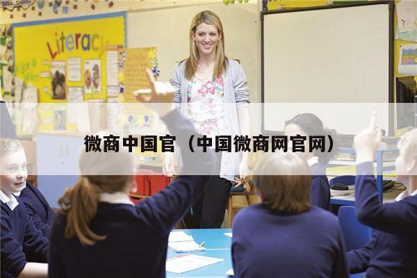 微商中国官（中国微商网官网）