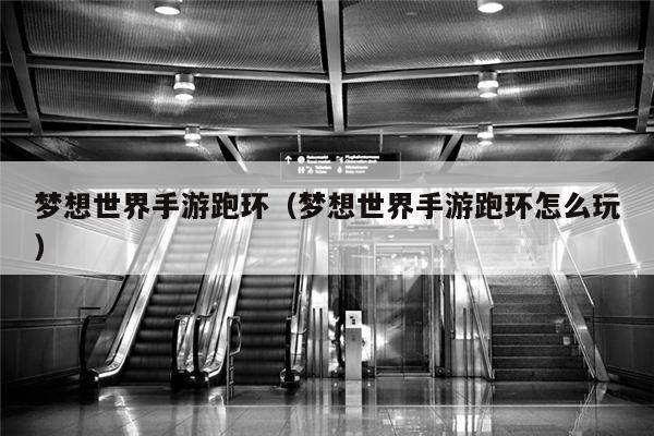 梦想世界手游跑环（梦想世界手游跑环怎么玩）