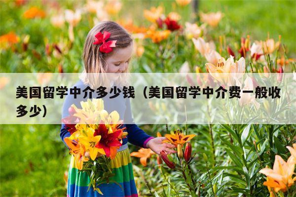 美国留学中介多少钱（美国留学中介费一般收多少）