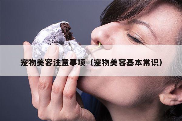 宠物美容注意事项（宠物美容基本常识）