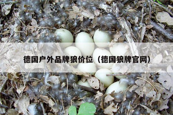 德国户外品牌狼价位（德国狼牌官网）